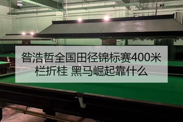 zan-hao-zhe-quan-guo-tian-jing-jin-biao-sai-mi-lan-zhe-gui-hei-ma-jue-qi-kao-shen-me-3-461.jpg