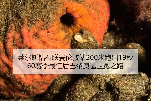 lai-er-si-zuan-shi-lian-sai-lun-dun-zhan-mi-pao-chu-miao-sai-ji-zui-jia-hou-ba-li-ao-yun-wei-mian-zhi-lu-3-654.jpg